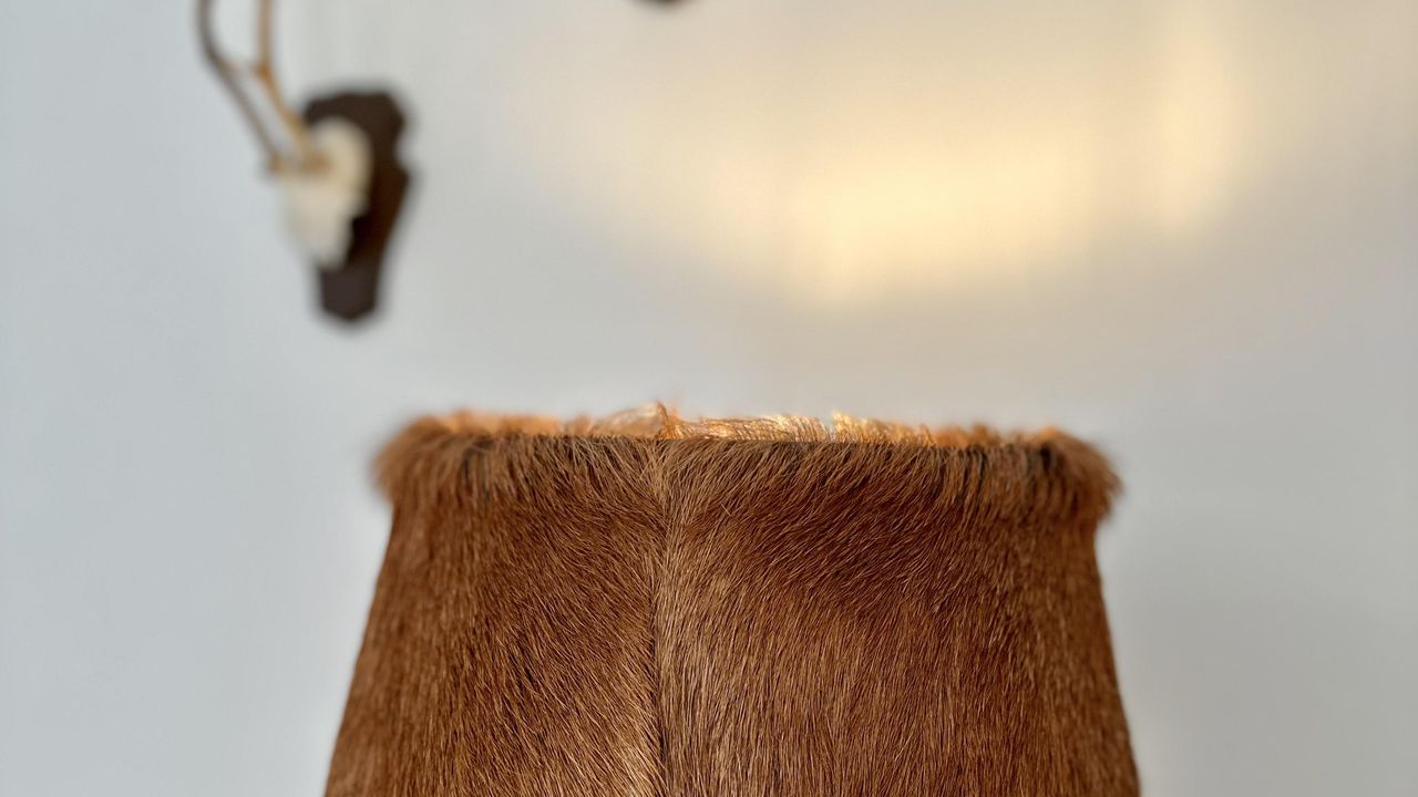 image00019 image00019